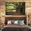 Banyan Tree Wall Art Banyan Tree Wall Art