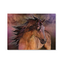 Belleza Fiero Canvas Belleza Fiero Canvas