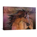 Belleza Fiero Canvas Belleza Fiero Canvas