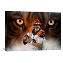 Bengals QB Canvas Bengals QB Canvas