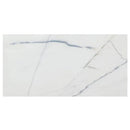 Bianco Rigata Exotic Marble Polished Floor and Wall Tile Bianco Rigata Exotic Marble Polished Floor and Wall Tile