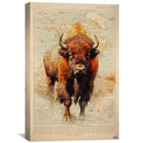 Bison Canvas Bison Canvas