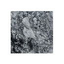 Black Cloud Exotic Marble Polished Floor and Wall Tile Black Cloud Exotic Marble Polished Floor and Wall Tile