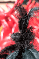 Black Ostrich Feather Tree Black Ostrich Feather Tree