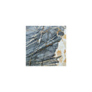 Bluezonai Exotic Marble Polished Floor and Wall Tile Bluezonai Exotic Marble Polished Floor and Wall Tile