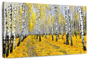 Autumn Birch Forest Trees Wall Art Autumn Birch Forest Trees Wall Art