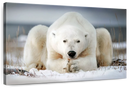 Yoga Polar Bear Wall Art Yoga Polar Bear Wall Art