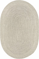Beige Braided Faux Jute Rug Beige Braided Faux Jute Rug
