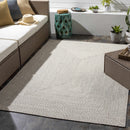 Beige Braided Faux Jute Rug Beige Braided Faux Jute Rug