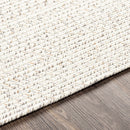 Beige Braided Faux Jute Rug Beige Braided Faux Jute Rug