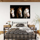 American Paint Horses Wall Art American Paint Horses Wall Art