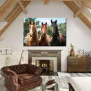 Young Horses Wall Art Young Horses Wall Art