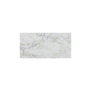 Calacatta Verde Marble Polished Floor and Wall Tile Calacatta Verde Marble Polished Floor and Wall Tile