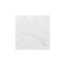 Carrara White Marble Polished Floor and Wall Tile Carrara White Marble Polished Floor and Wall Tile