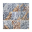 Cielo Marrone Marble Polished Floor and Wall Tile Cielo Marrone Marble Polished Floor and Wall Tile