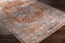 Darapidap Washable Area Rug - Clearance Darapidap Washable Area Rug - Clearance