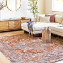 Darapidap Washable Area Rug - Clearance Darapidap Washable Area Rug - Clearance