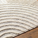 Dauin 3D Rainbow Area Rug with Tassels Dauin 3D Rainbow Area Rug with Tassels