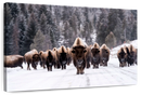 Bison Herd In Winter Wall Art Bison Herd In Winter Wall Art