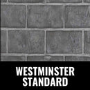 Napoleon Oakville X3/X4 Direct Vent Electronic Ignition Natural Gas Fireplace Insert (GDIX3N/4N-1) (SAK21347) Napoleon Oakville X3/X4 Direct Vent Electronic Ignition Natural Gas Fireplace Insert (GDIX3N/4N-1) (SAK21347)