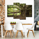 Banyan Tree Wall Art Banyan Tree Wall Art