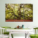 Charleston Angel Oak Tree Wall Art Charleston Angel Oak Tree Wall Art