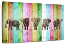 Color Stripe Elephants Color Stripe Elephants
