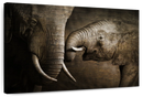 Affectionate Elephants Wall Art Affectionate Elephants Wall Art