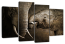 Affectionate Elephants Wall Art Affectionate Elephants Wall Art