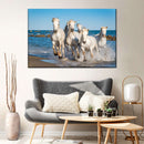 Camargue Horses Wall Art Camargue Horses Wall Art