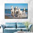 Camargue Horses Wall Art Camargue Horses Wall Art