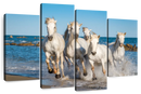 Camargue Horses Wall Art Camargue Horses Wall Art