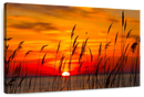 Chesapeake Bay Sunrise Wall Art Chesapeake Bay Sunrise Wall Art