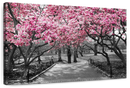 Central Park NY Cherry Blossoms Wall Art Central Park NY Cherry Blossoms Wall Art