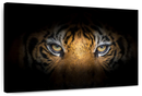 Tiger Gaze Wall Art Tiger Gaze Wall Art