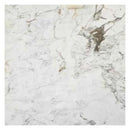 Fantasia White Exotic Marble Polished Floor and Wall Tile Fantasia White Exotic Marble Polished Floor and Wall Tile