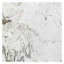Fantasia White Exotic Marble Polished Floor and Wall Tile Fantasia White Exotic Marble Polished Floor and Wall Tile
