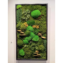 Moss Art Frame , Eco Friendly Home Decor Moss Art Frame , Eco Friendly Home Decor