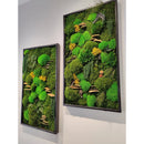 Moss Art Frame , Eco Friendly Home Decor Moss Art Frame , Eco Friendly Home Decor