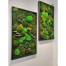 Moss Art Frame , Eco Friendly Home Decor Moss Art Frame , Eco Friendly Home Decor