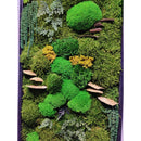 Moss Art Frame , Eco Friendly Home Decor Moss Art Frame , Eco Friendly Home Decor