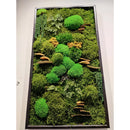 Moss Art Frame , Eco Friendly Home Decor Moss Art Frame , Eco Friendly Home Decor