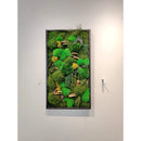 Moss Art Frame , Eco Friendly Home Decor Moss Art Frame , Eco Friendly Home Decor