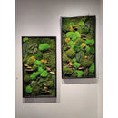 Moss Art Frame , Eco Friendly Home Decor Moss Art Frame , Eco Friendly Home Decor