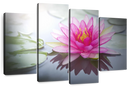 Beaming Pink Lotus Wall Art Beaming Pink Lotus Wall Art