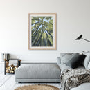 "From the Forest Floor" Art Print "From the Forest Floor" Art Print