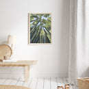 "From the Forest Floor" Art Print "From the Forest Floor" Art Print