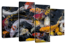 Abundant Koi Fish Wall Art Abundant Koi Fish Wall Art