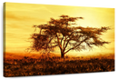 African Tree At Sunset Wall Art African Tree At Sunset Wall Art