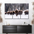 Bison Herd In Winter Wall Art Bison Herd In Winter Wall Art